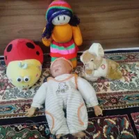 تعدادی عروسک در حد نو