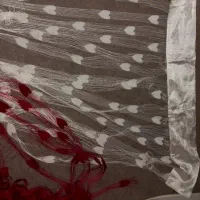 ۳عددپرده ریسه ایی ،قرمز و سفید