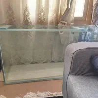 آکواریوم ماهی با وسایل|ماهی|قم, منبع آب|دیوار