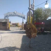 اجاره رستوران و مغازه در پیست آبعلی