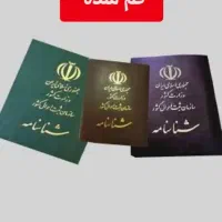 شناسه گمشده