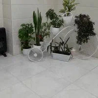 دو عدد استند گل ،فلزی طرح سه چرخه