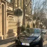 اجاره خودرو سوناتا