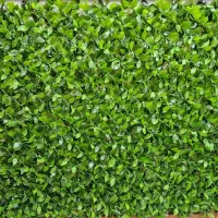 چمن مصنوعی و فنس چمنی|مصالح و تجهیزات ساختمان|یزد, |دیوار