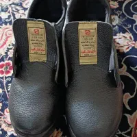 کفش ایمنی کار
