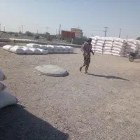 کاه نرم و سفید کردستان|لوازم جانبی حیوانات|کرباسک, |دیوار