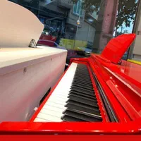 اموزش ارگ  پیانو خوانندگی صدابرداری و اهنگسازی
