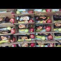 پک میوه برای مراسم وغدا|خدمات پذیرایی، مراسم|تهران, میدان میوه و تره‌بار مرکزی|دیوار