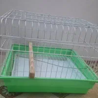 قفس
