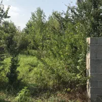 ۲قطعه زمین کاملامسکونی حوالی شفت گیلان|فروش زمین و ملک کلنگی|شفت, |دیوار