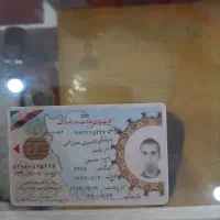 تعدادی کارت گم کرده ام