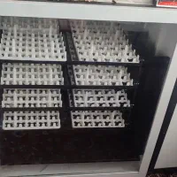 فروش فوری دستگاه جوجه کشی