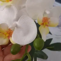 گل رو میزی|گل مصنوعی|کرج, کوی امامیه|دیوار