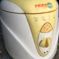 سرخ کن ژاپنی