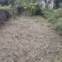 قطع درخت و علفتراشی متراژ بالا پذیرفته میشود|خدمات باغبانی و درختکاری|خرم‌آباد (تنکابن), |دیوار