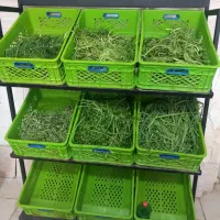 دستگاه سبزی خردکنی صنعتی به همراه ترازو ‌‌سبد|فروشگاه و مغازه|ملارد, |دیوار