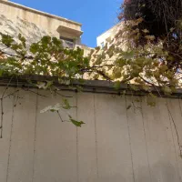 293-متر-کلنگی-پاسداران-خیابان-هروی