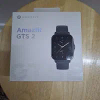 امیزفیت gts2