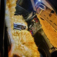 پژو 405|خودرو سواری و وانت|دهدشت, |دیوار