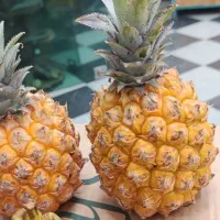 نیازمند یک مغازه برای میوه فروشی