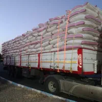 کاه کردستان