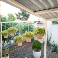 سرویس کولر آبی