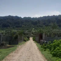 فروش زمین ویو ابدی جنگل با قیمت مناسب