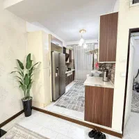 آپارتمان65مترفول-نصبیات-شیک-برخیابان-اصلی-میرزایی