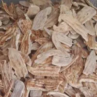 نان خشک خانگی و تمیز۵۰۰۰۰هرروز۲تن