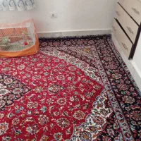 خونه اپارتمان مسکن جهادطراوت باخونه داخل شهرمیزنم