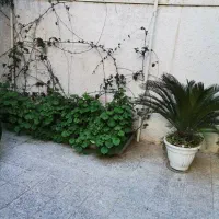 420 متر زمین دوسند برای مشارکت