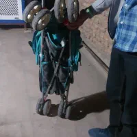 کالسکه|کالسکه و لوازم جانبی|اصفهان, شیخ اشراق|دیوار