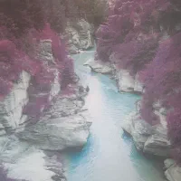 فروش کاغذ دیواری ونصب کاغذ دیواری بامهارت|خدمات پیشه و مهارت|سهند, |دیوار