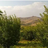 ویلاباغ371متری