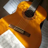 اموزش گیتار حرفه ای