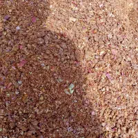 علوفه ذرت تفاله سیب چغندر کولش وکنسانتره|عمده‌فروشی|تبریز, |دیوار