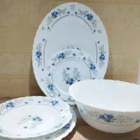 ظروف غذا خوری