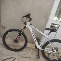 دوچرخه کوهستان ویوا