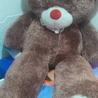 خرس بزرگ
