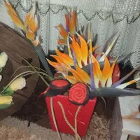 حراجی وسایل منزل|حراج|بروجرد, |دیوار