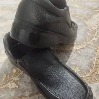 کفش مردانه فراز گام|کیف، کفش، کمربند|سنندج, |دیوار