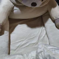 غلتگیر کودک|کالسکه و لوازم جانبی|تهران, والفجر (افسریه)|دیوار