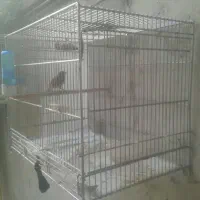 سهره خاکی