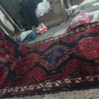 فرش|فرش|ساوه, |دیوار