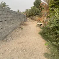 زمین باغ دارای سند در روستای ماگیان