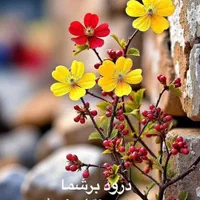 جذب سرمایه برای توسعه کارگاه صنعتی فعال