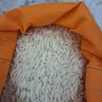 برنج طارم هاشمی