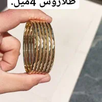 بدلیجات