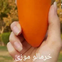 نهال درخت ۳ ساله گلدانی آماده کاشت|خدمات باغبانی و درختکاری|اصفهان, شهرک کاوه|دیوار