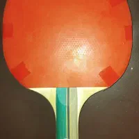 پینگ پنگ|ورزشهای توپی|تبریز, |دیوار